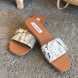 NEW Steve Madden Nikini Snake Slides 7.5
